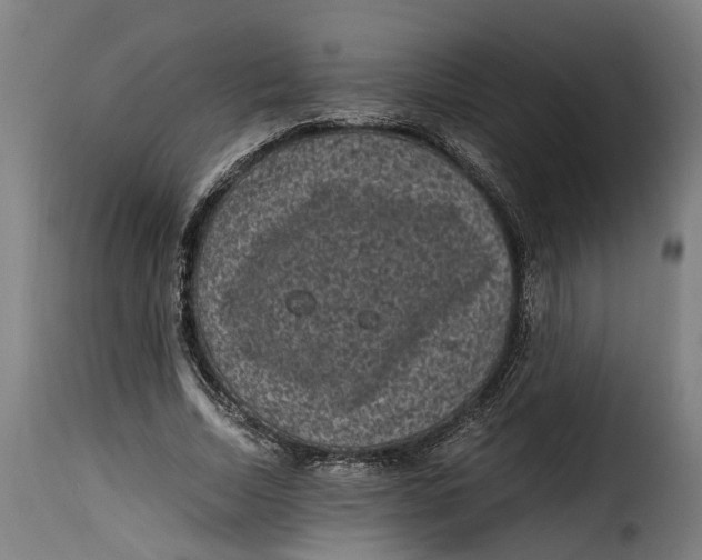 X0000115280730200911201751