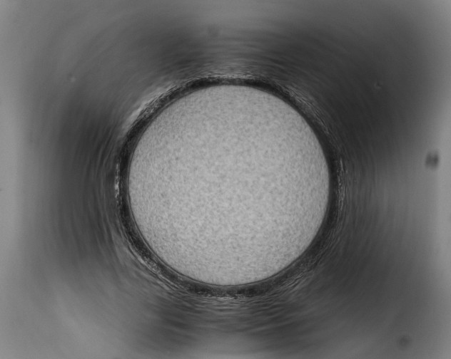 X0000115280731200911201751