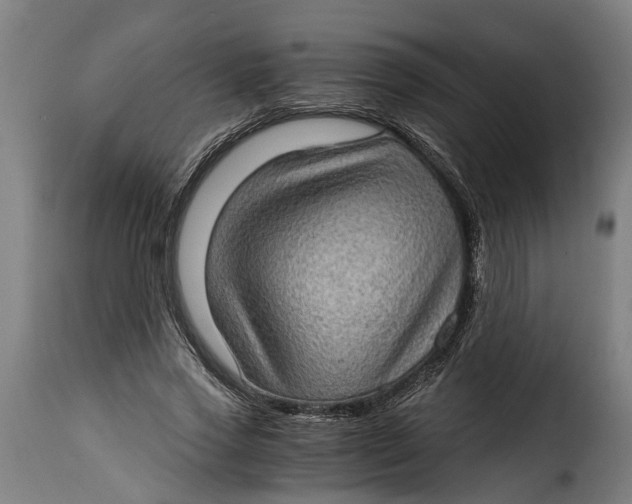 X0000115280733200911201751