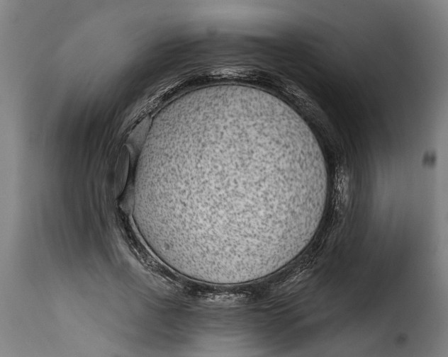 X0000115280734200911201751