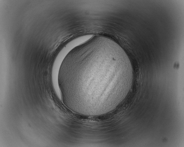 X0000115280743200911201751