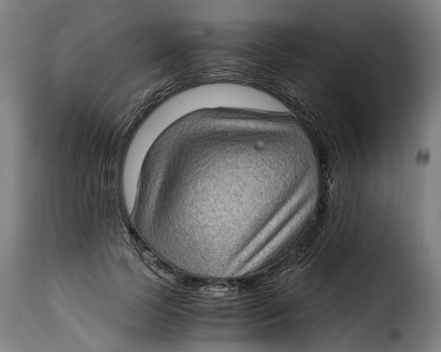 X0000115280745200911201751