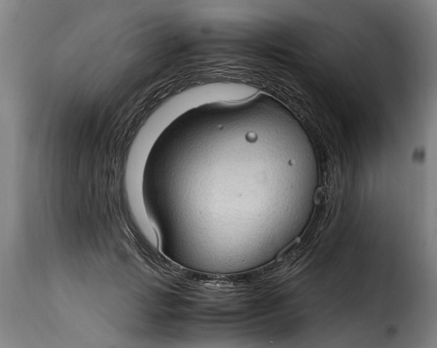 X0000115280749200911201751