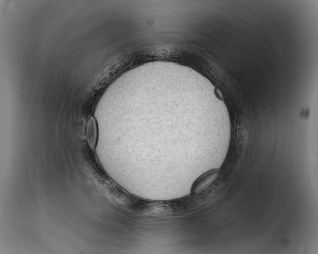 X0000115280750200911201751