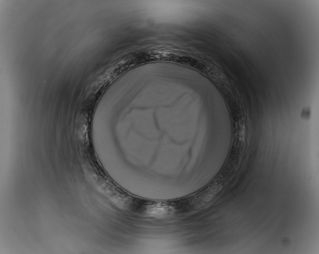 X0000115280754200911201751