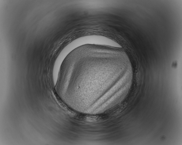 X0000115280757200911201751