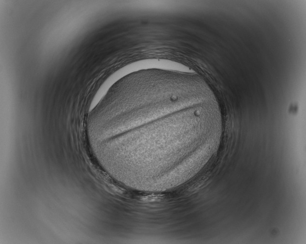 X0000115280761200911201751