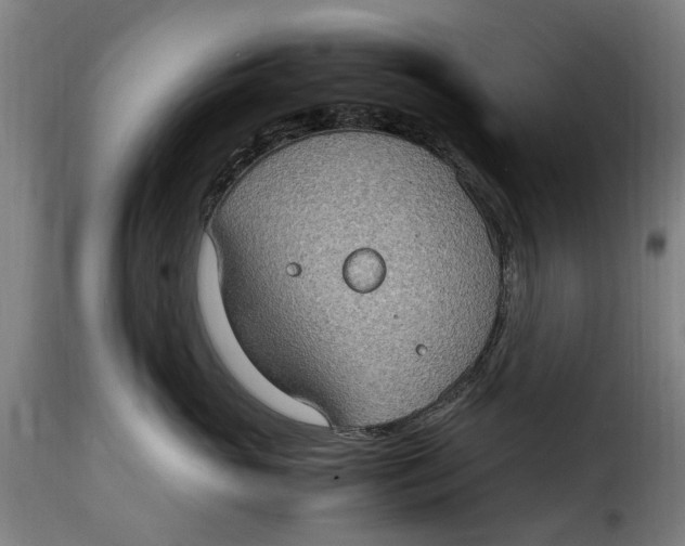 X0000115280765200911201751