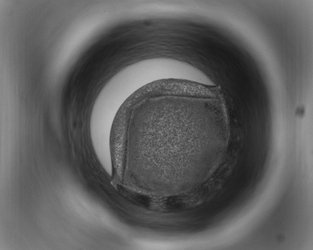 X0000115280766200911201752