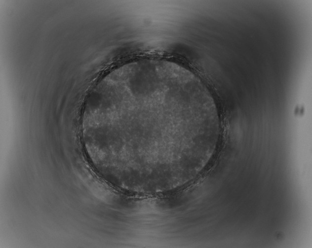 X0000115280769200911201751