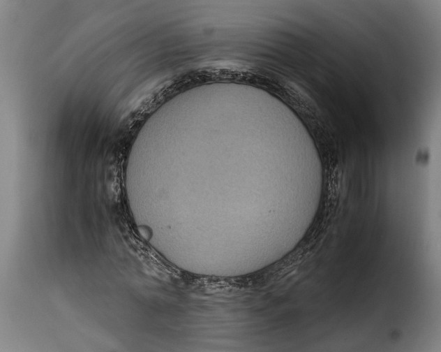 X0000115280774200911201751