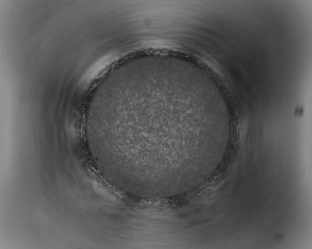 X0000115280775200911201751