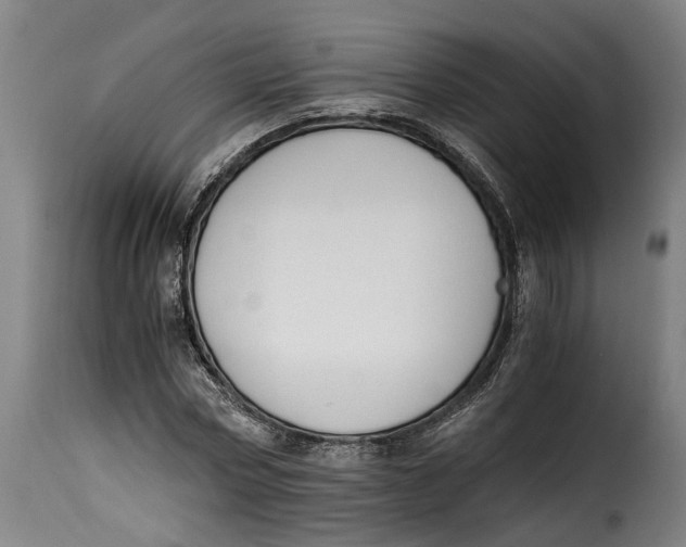 X0000115280778200911201751