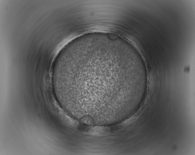 X0000115280779200911201751