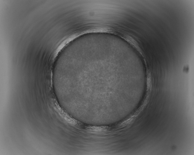 X0000115280781200911201751