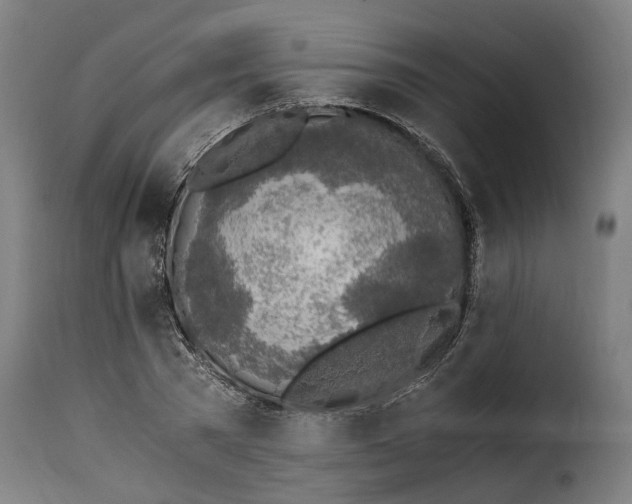 X0000115280785200911201751