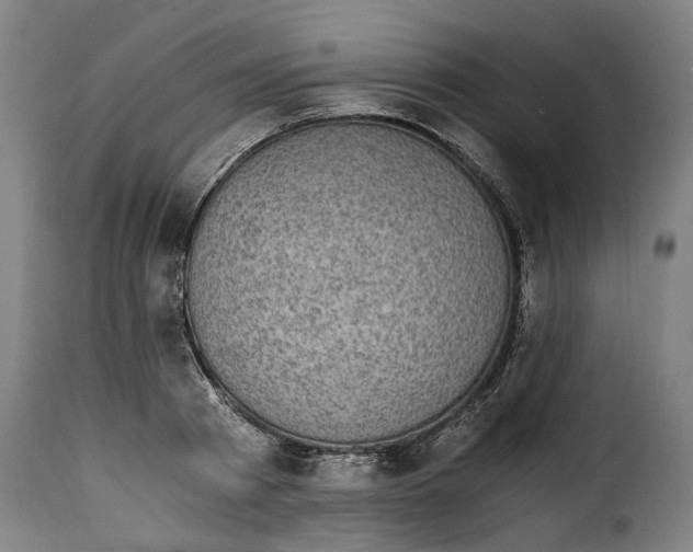 X0000115280793200911201751