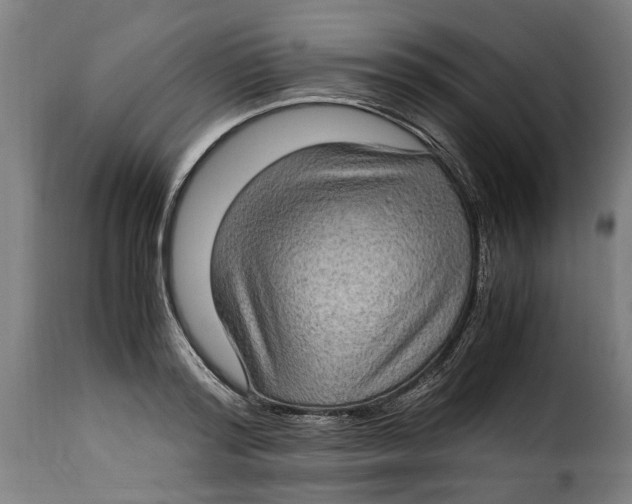 X0000115280796200911201750