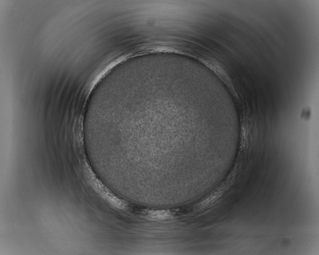 X0000115280798200911201750