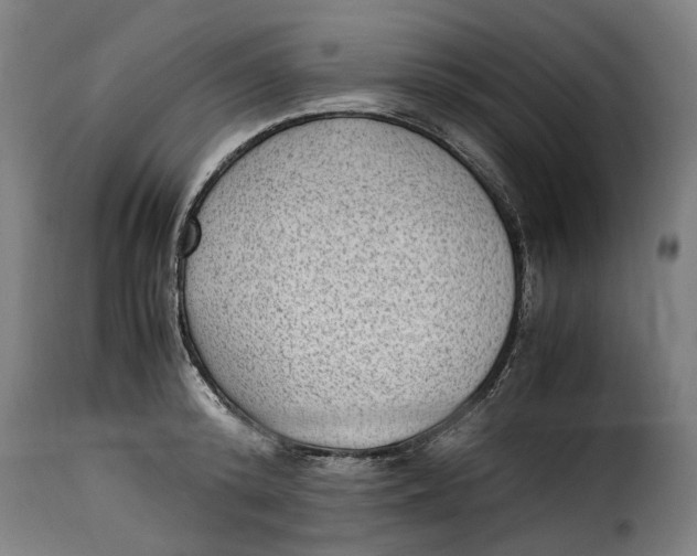 X0000115280800200911201750