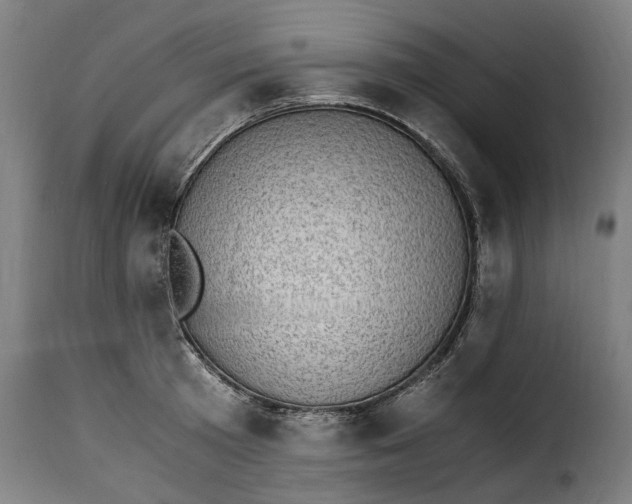 X0000115280801200911201750