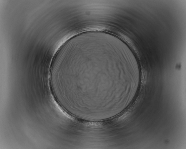 X0000115280802200911201750