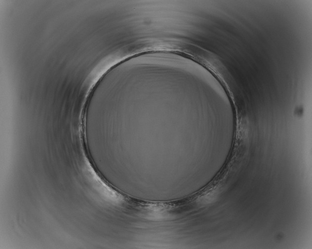 X0000115280803200911201750