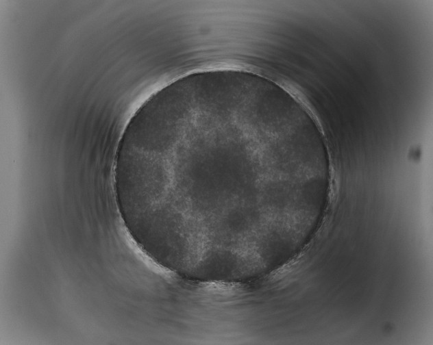 X0000115280805200911201750