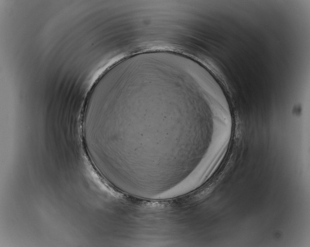 X0000115280806200911201750