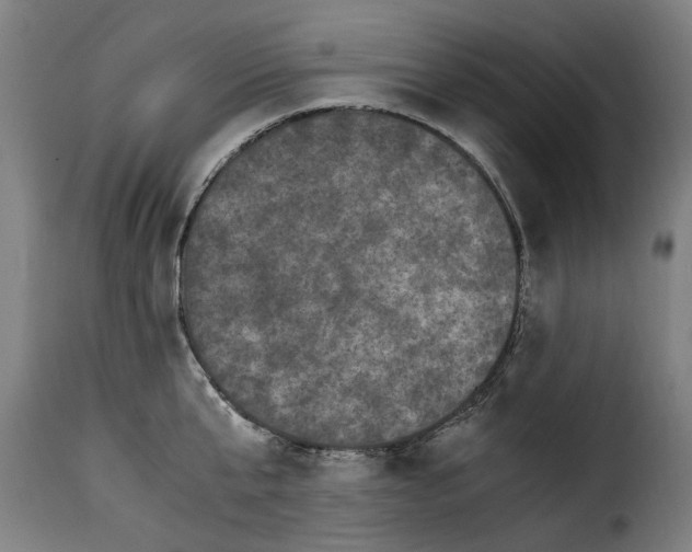 X0000115280807200911201750