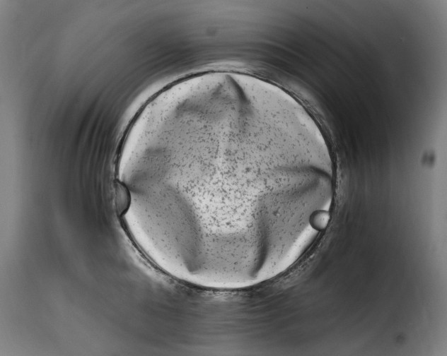 X0000115280808200911201750