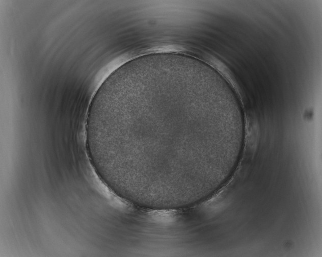 X0000115280810200911201750