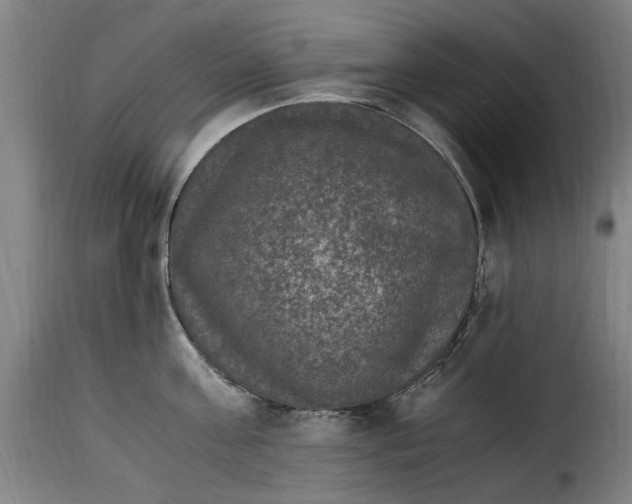 X0000115280811200911201750