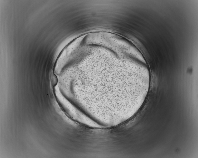 X0000115280812200911201750