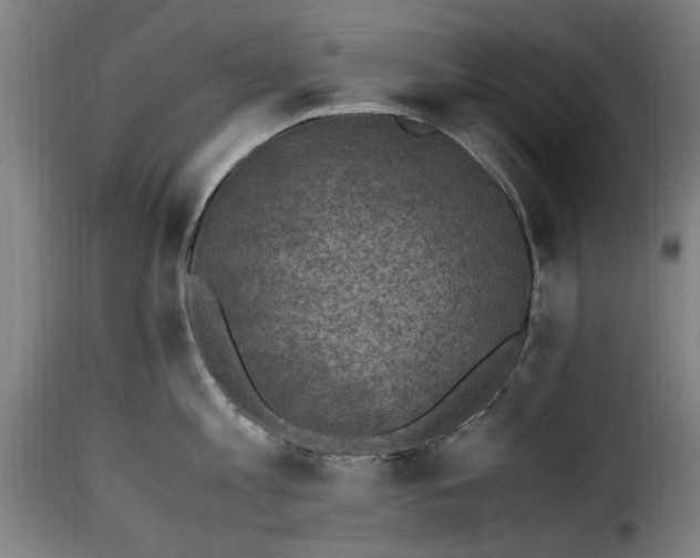 X0000115280813200911201750