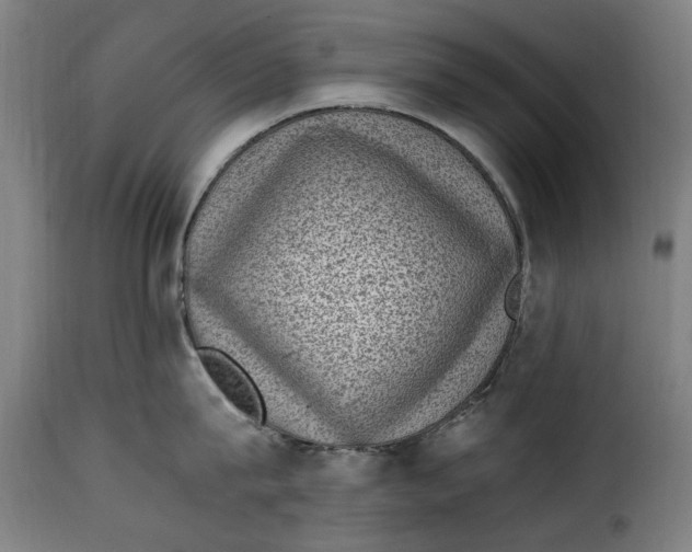 X0000115280815200911201750