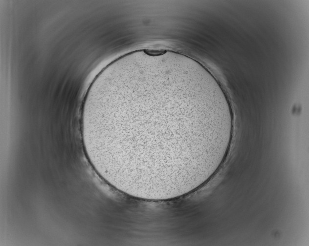 X0000115280816200911201750