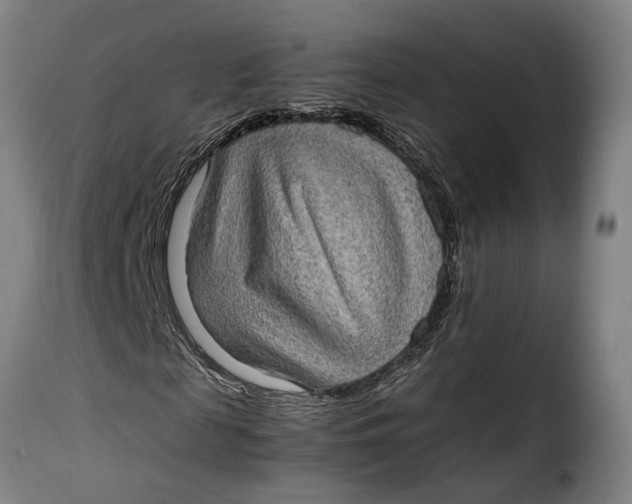 X0000115280817200911201750