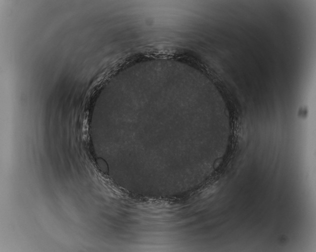 X0000115280818200911201750