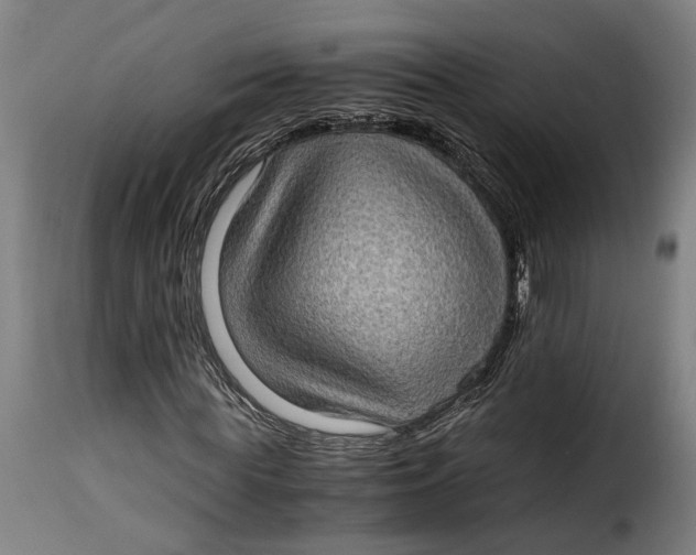 X0000115280819200911201750