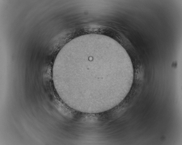 X0000115280820200911201750