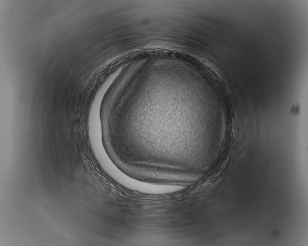 X0000115280821200911201750