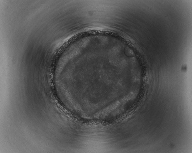 X0000115280822200911201750