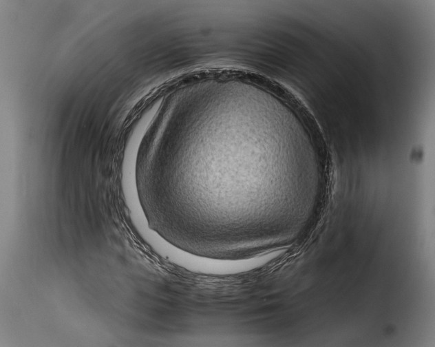 X0000115280823200911201750