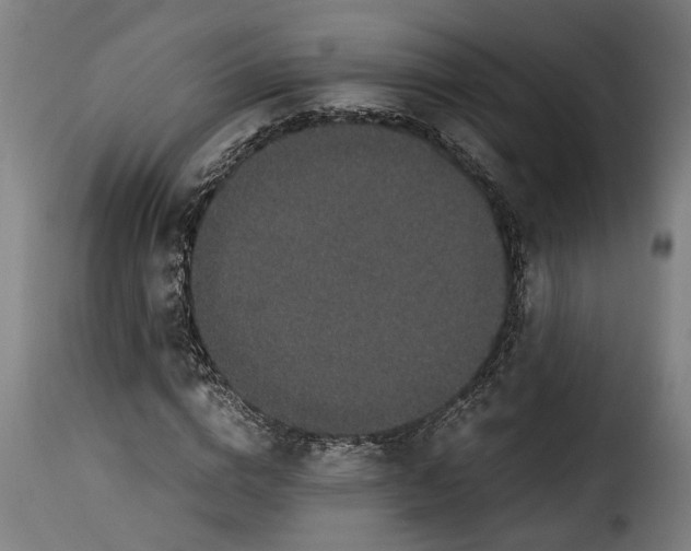 X0000115280824200911201750