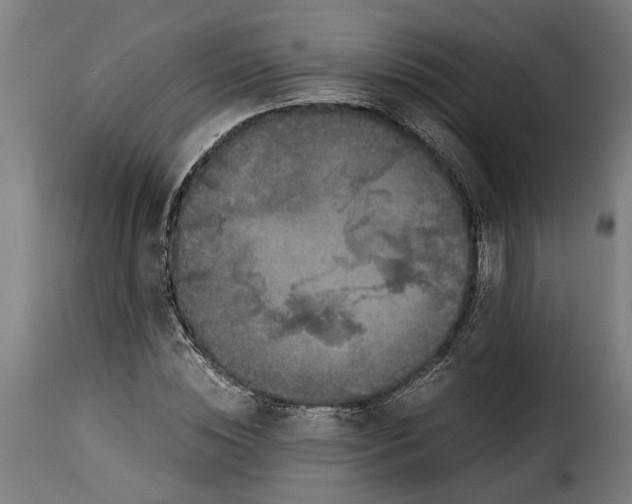 X0000115280828200911201750