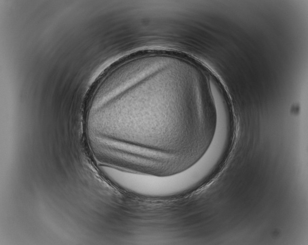 X0000115280829200911201750