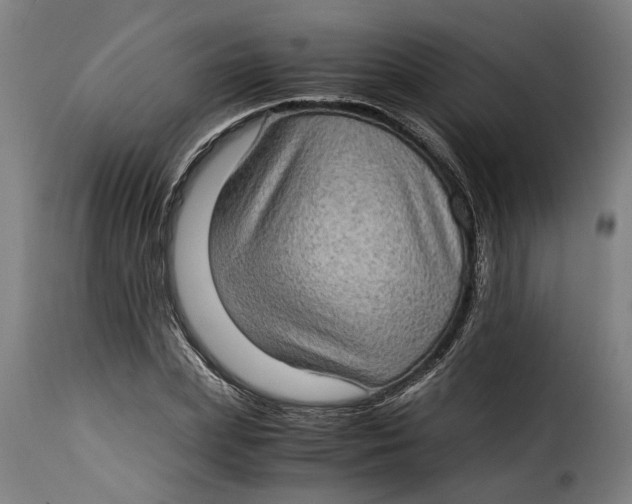 X0000115280831200911201750