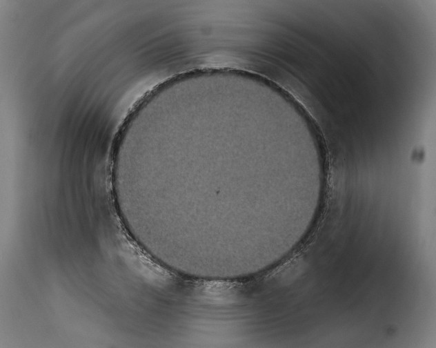 X0000115280832200911201750