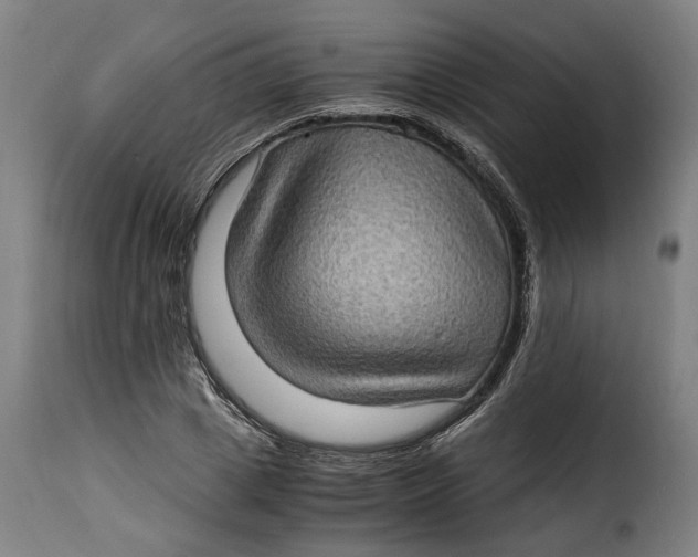 X0000115280833200911201750